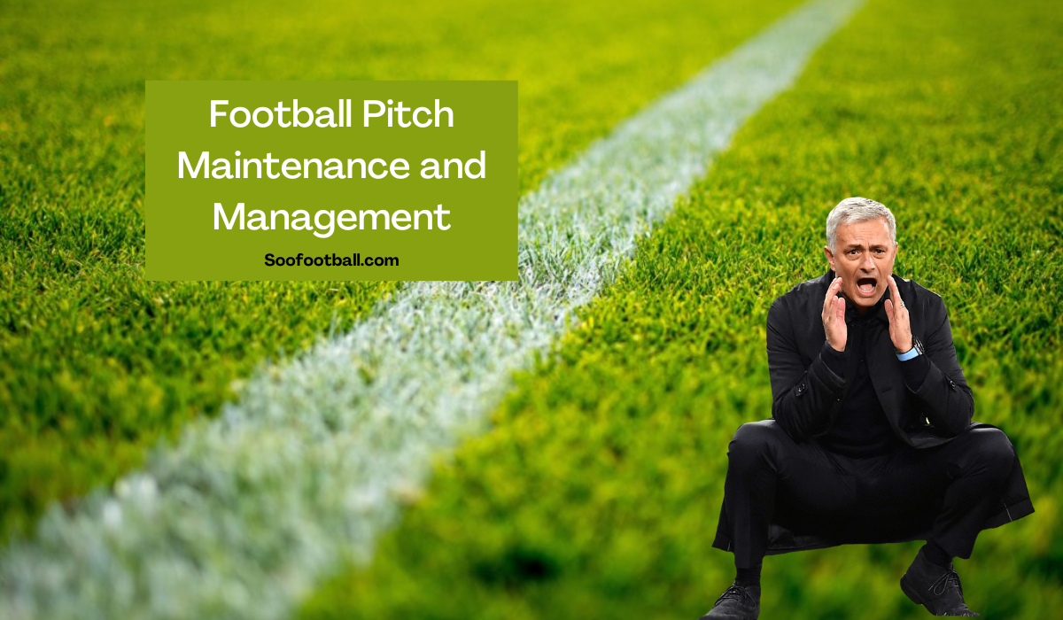 Football Pitch Maintenance And Management A Guide To Excellence