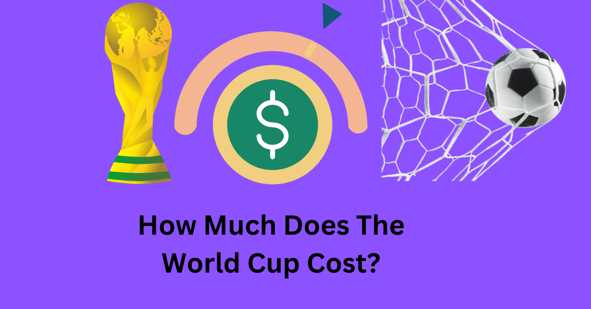 How much does the World cup cost