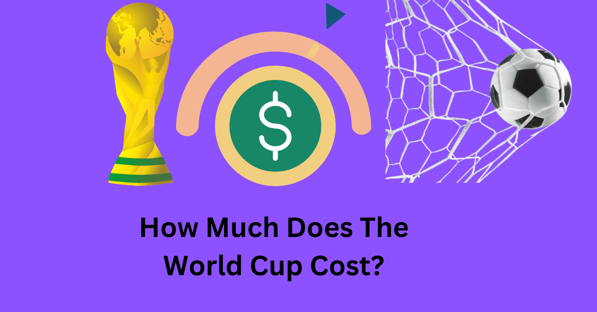 how much does the real world cup ball cost